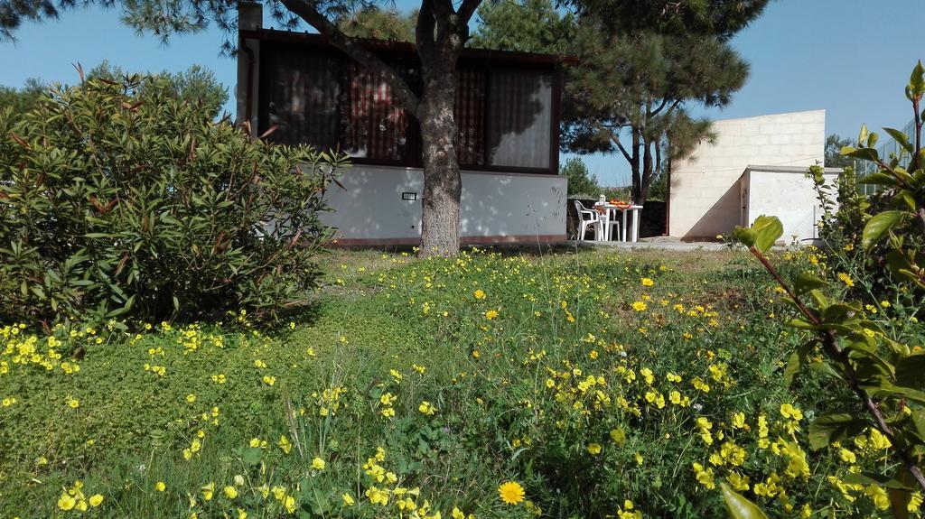 Casa Relax Acqua Marina Lejlighed Favignana Eksteriør billede